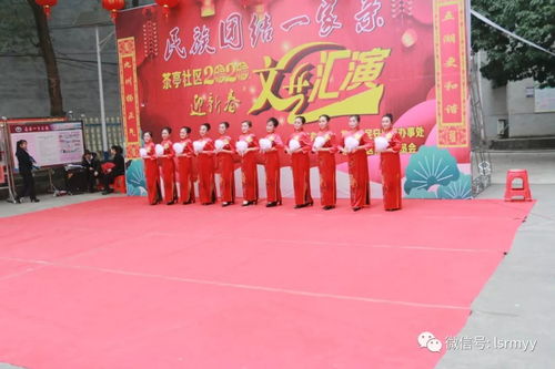 黨員文藝展風采 志愿服務暖人心——我院黨員志愿者社區(qū)文藝表演側記